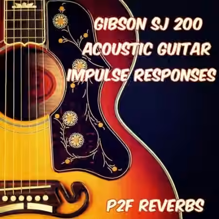 PastToFutureReverbs Gibson SJ 200 and Taylor 314CE Acoustic Guitar Profiles For Kemper!
