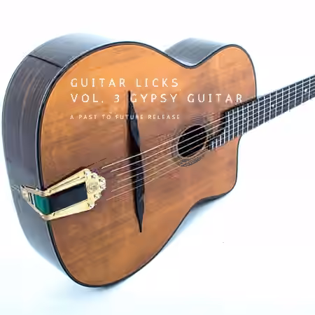 PastToFutureReverbs Guitar Licks Vol.3 Gypsy Guitar For Kontakt! [KONTAKT]