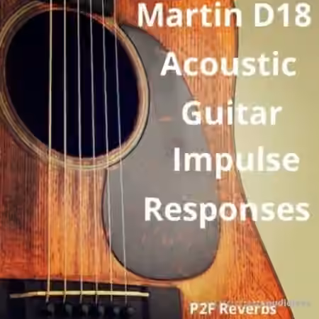 PastToFutureReverbs Martin D-18 Acoustic Guitar