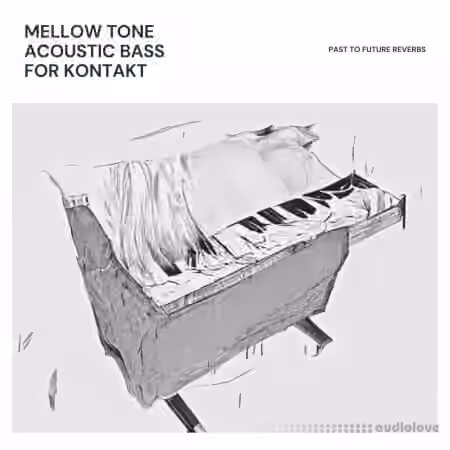 PastToFutureReverbs Mellow Tone Acoustic Bass [KONTAKT]