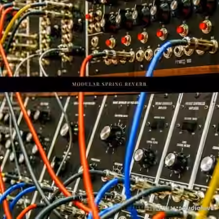 PastToFutureReverbs Modular Spring Reverb