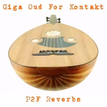PastToFutureReverbs Oud For KONTAKT! [KONTAKT, WAV]