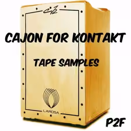 PastToFutureReverbs P2F Cajon for KONTAKT! [KONTAKT]