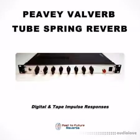 PastToFutureReverbs Peavey Valverb! (Rare Tube Spring Reverb)