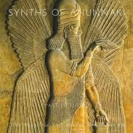 PastToFutureReverbs Synths Of Anunnaki For Kontakt! [KONTAKT]