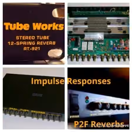 PastToFutureReverbs Tubeworks RT-921 Stereo Tube 12 Spring Reverb!