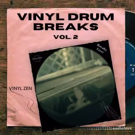 PastToFutureReverbs Vinyl Drum Breaks Vol.2 [WAV]