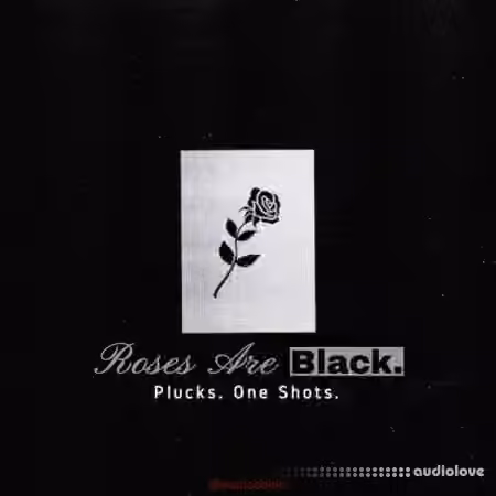 Paul Cabbin Roses Are Black (Sample Pack) [WAV]