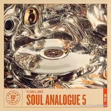 Pelham and Junior Soul Analogue 5 [WAV]
