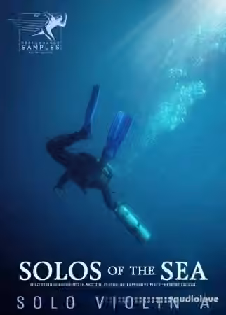 Performance Samples Solos of the Sea Solo Violin A [KONTAKT]