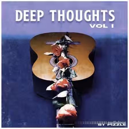 Pizzle Deep Thoughts VOL I [WAV]