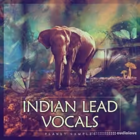 Planet Samples Indian Lead Vocals [WAV]