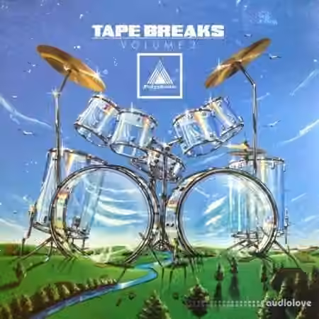 Polyphonic Music Library Tape Breaks Vol.3 [WAV]
