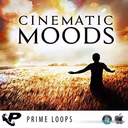 Prime Loops Cinematic Moods [MULTiFORMAT]