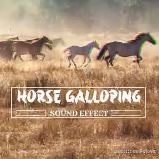 Pro Sound Effects Library Horse Galloping Sound Effect [FLAC]