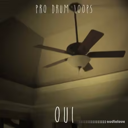ProDrumLoops Oui [AiFF]