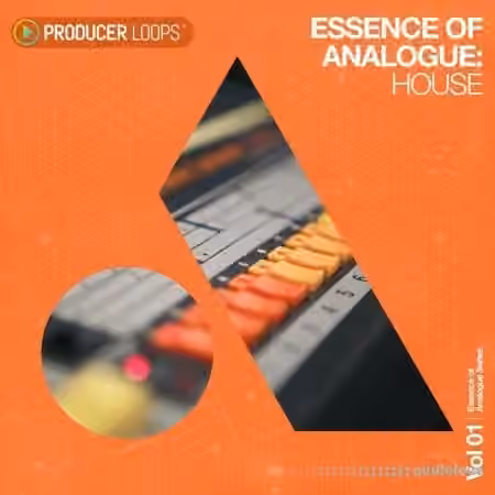 Producer Loops Essence of Analogue Vol.1 [WAV]