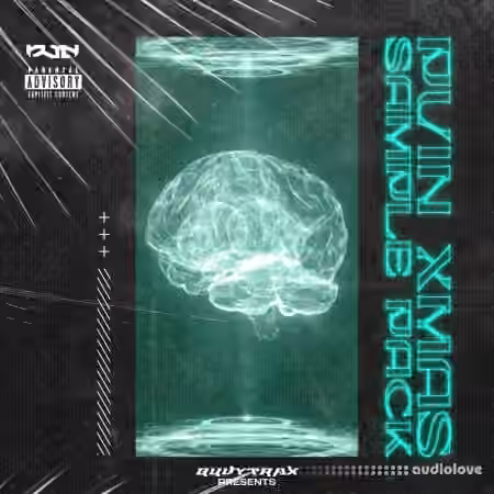 QUVY TRAX STORE XMAS_PV1N Sample Pack2023 (Ultimate Edition) [WAV, Synth Presets]