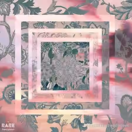 RARE Percussion 2SCOOPS x Neighborhood Watch Silence In Nature [WAV]