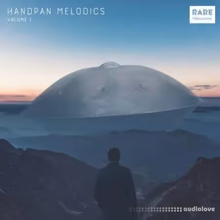 RARE Percussion Handpan Melodics [WAV]
