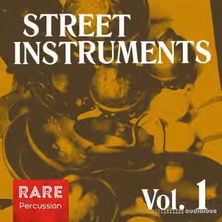 RARE Percussion Street Instruments Vol.1 [WAV]