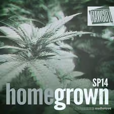 Raw Cutz Home Grown [WAV, REX]