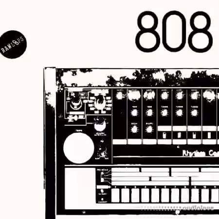 Raw Loops RAW 808 Drum Hits [WAV]