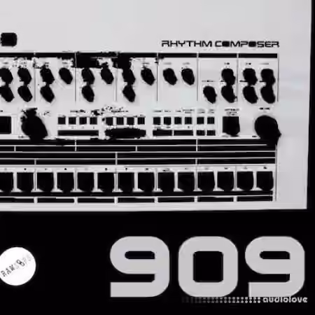 Raw Loops RAW 909 Drum Hits [WAV]