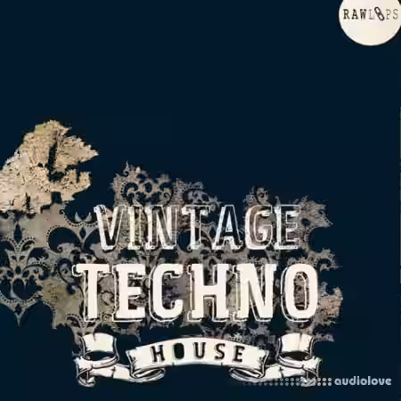 RAW LOOPS Vintage Techno House [WAV]