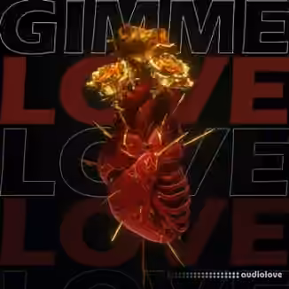 Real One 500+] RnB Drum Kit Gimme Love [WAV, Synth Presets]