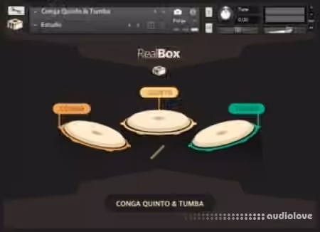 RealBox Conga Quinto and Tumba v1.0 [KONTAKT]
