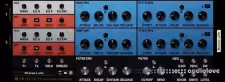 Reason RE Skrock Iridium v1.0.2 [WiN]