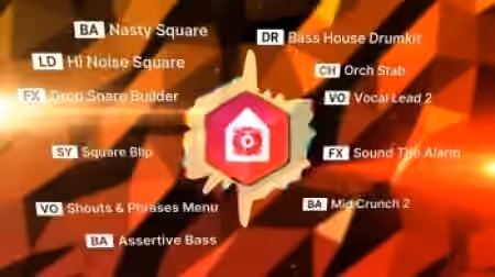 reFX Bass House Nexus 5 Expansion [Synth Presets]
