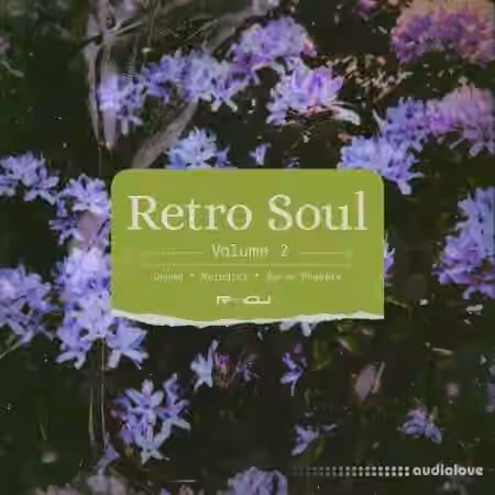 Renraku Retro Soul 2 [WAV, Synth Presets]
