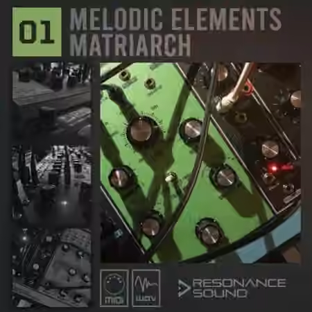 Resonance Sound Melodic Elements 01 Matriarch [WAV, MiDi]