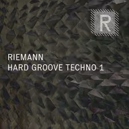 Riemann Kollektion Riemann Hard Groove Techno 1 [WAV]
