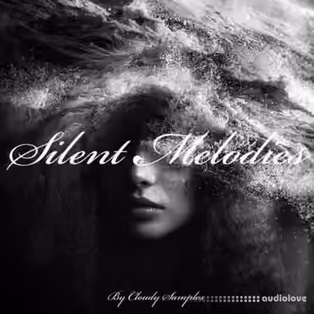 Rightsify Silent Melodies [WAV]