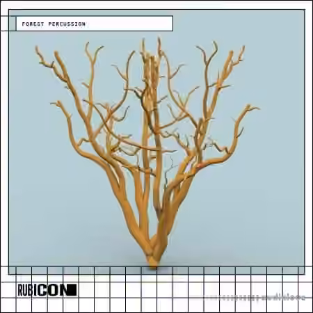 Rubicon Forest Percussion [WAV]