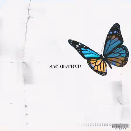 Sacaii x Trvpyyy LIL SACHI n TRVP [WAV]