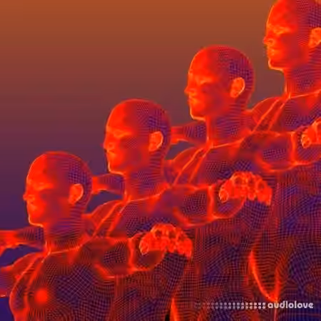 Samplephonics Kinetic Sequences [MULTiFORMAT]