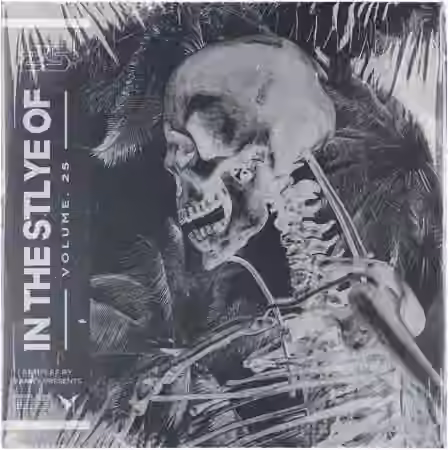 Samples by Vanity LORN In The Style Of Vol.25 [WAV, Synth Presets]