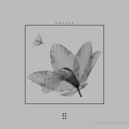 Samplified Awaken Sample Pack [WAV, MiDi]