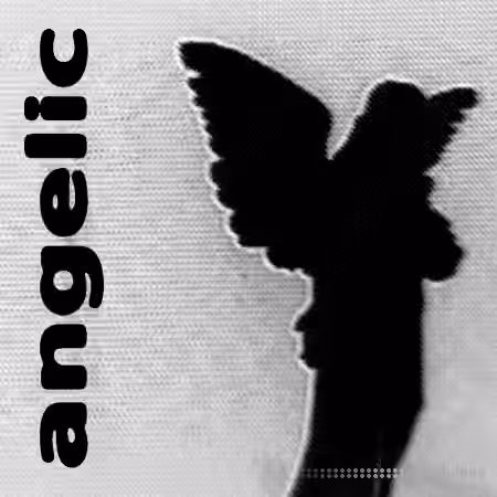 Sapjer Angelic Drumkit [WAV]