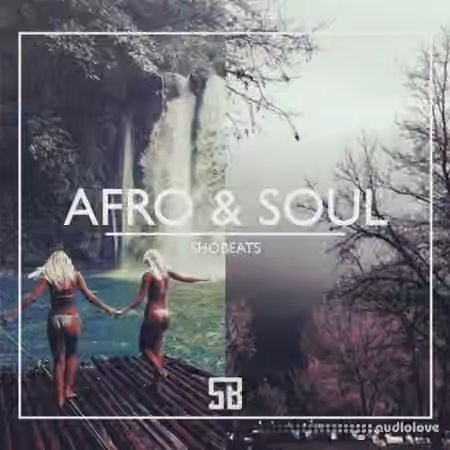 Shobeats Afro And Soul [WAV, MiDi, Synth Presets]