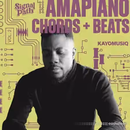 Signal Path Kayomusiq - Amapiano Chords And Beats Vol.2 [WAV]