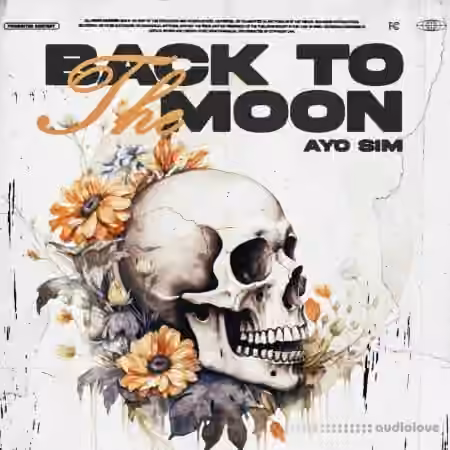 Sim Back to the Moon Bundle [WAV, MiDi]