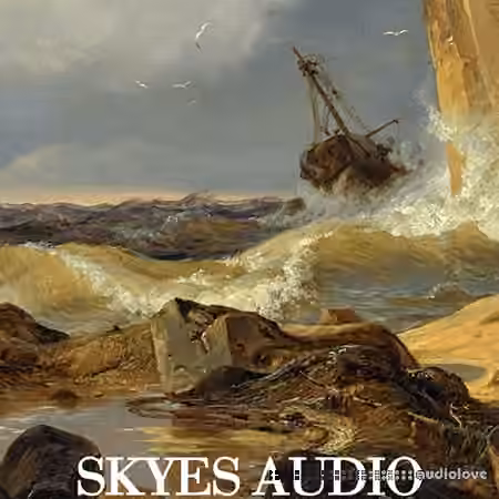 SKYES Audio The Black Sea Library v2.0 [WAV]