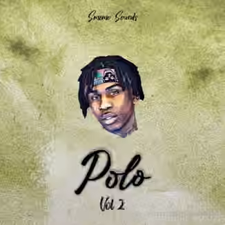 SMEMO Sounds Polo Vol 2 [WAV, MiDi]