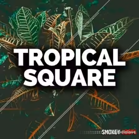Smokey Loops Tropical Square [WAV, MiDi]