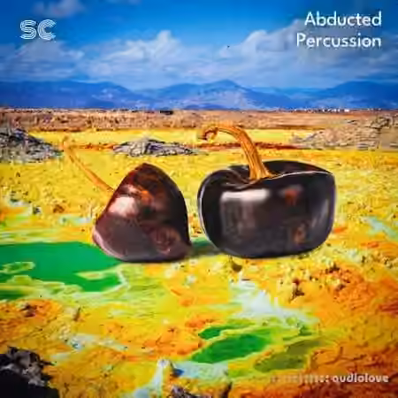 Sonic Collective Abducted Percussion [WAV]